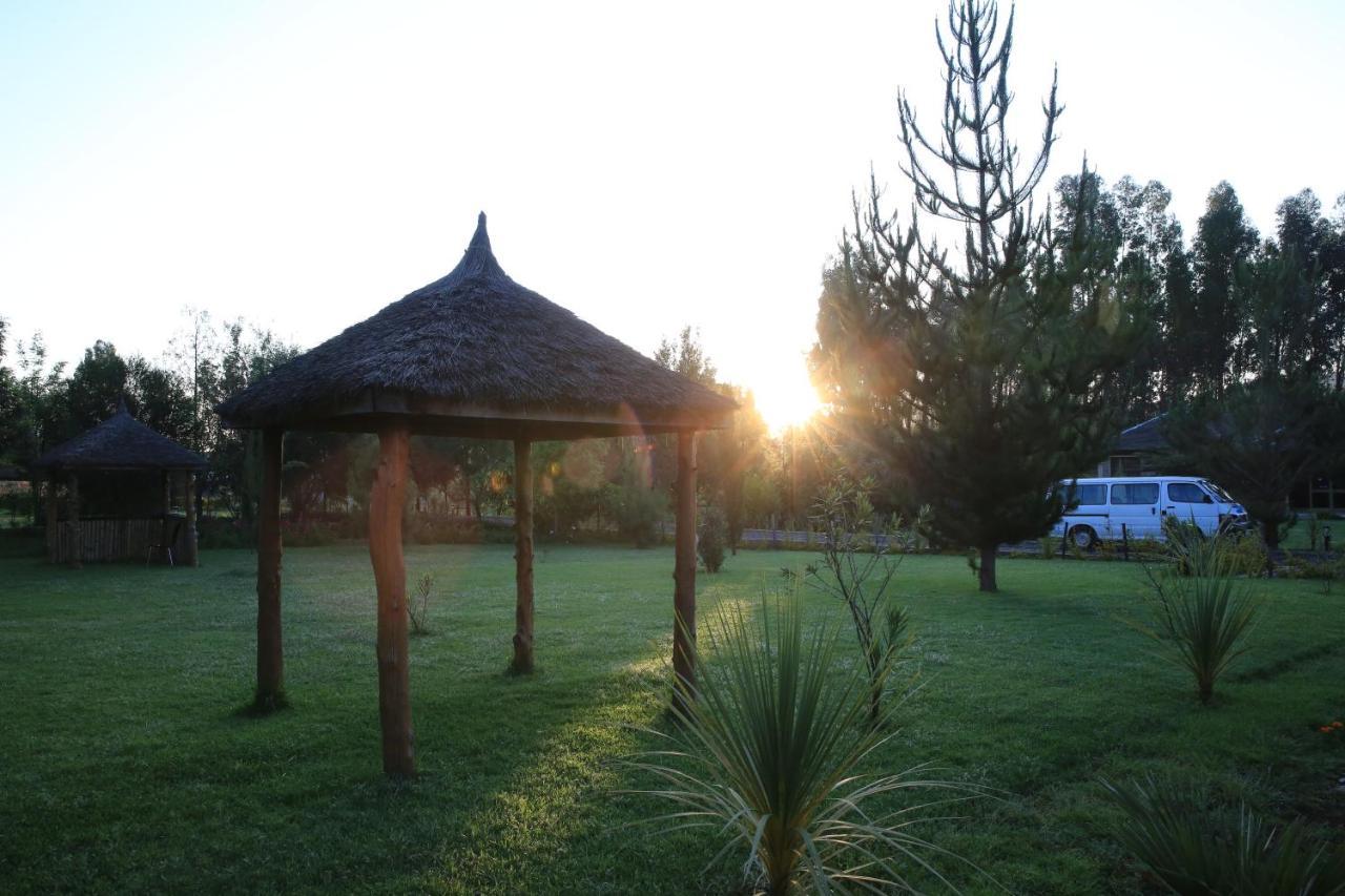 Yaya Africa Athletics Village Sululta 外观 照片